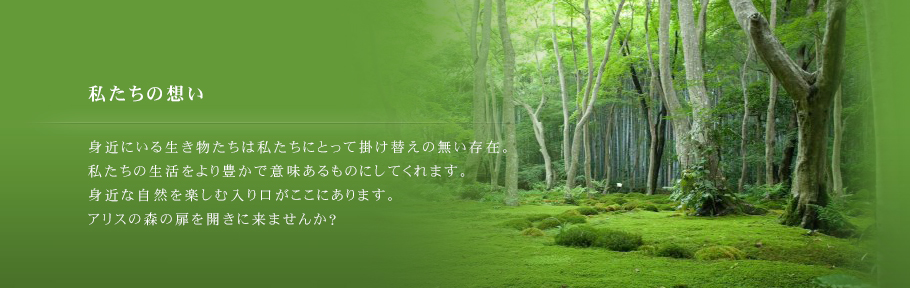 「私たちの想い」身近にいる生き物たちは私たちにとって掛け替えの無い存在。私たちの生活をより豊かで意味あるものにしてくれます。身近な自然を楽しむ入り口がここにあります。アリスの森の扉を開きに来ませんか？